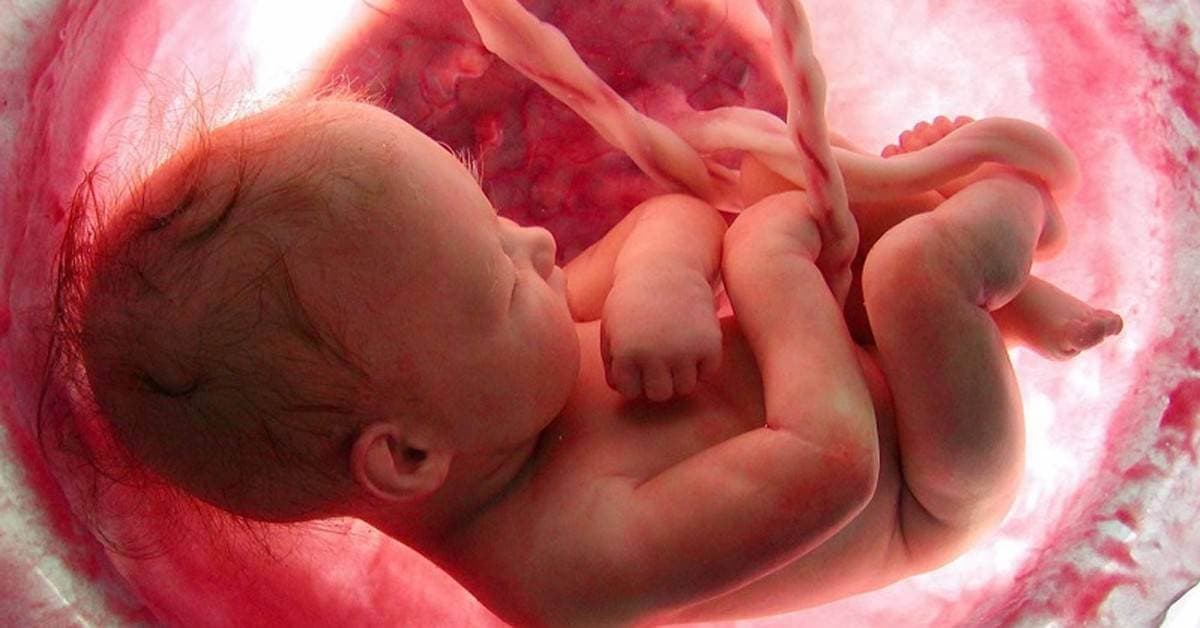 Hamilelik Öncesi Pıhtılaşma Tedavisi kapak resmi