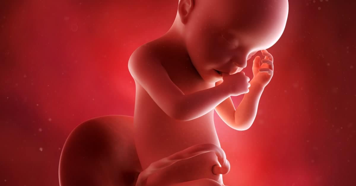 30 Haftalık Gebelikte Bebeğinizde ve Sizde Neler Değişiyor? kapak resmi