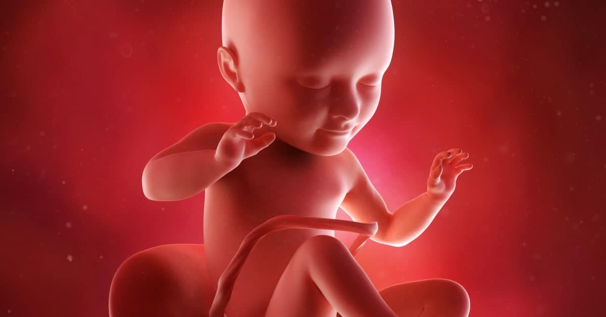 34 Haftalık Gebelikte Bebeğinizde ve Sizde Neler Olur? kapak resmi