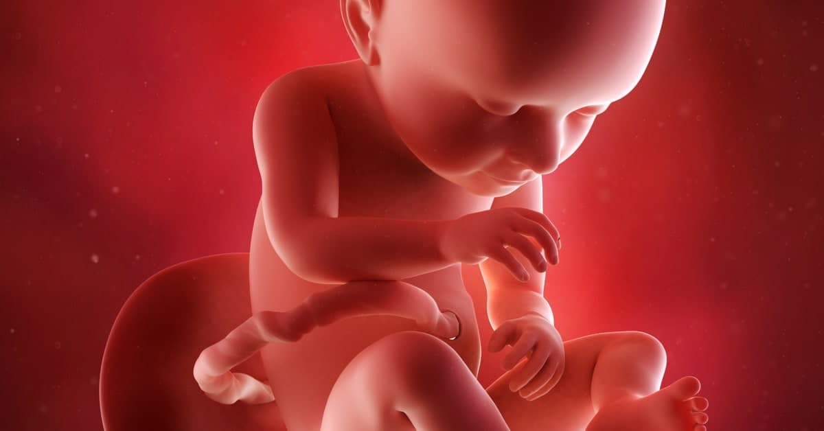 37 Haftalık Gebelikte Bebek ve Anne Vücudundaki Değişimler kapak resmi