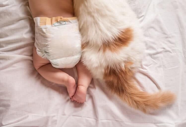 Bebeğinizi Hayvanlar İle Birlikte Yetiştirmeniz İçin 12 Sebep! kapak resmi