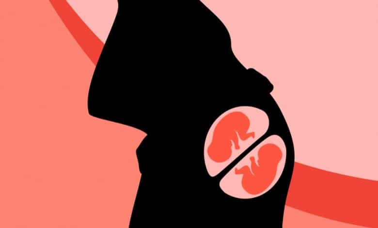 Doğal Yolla İkiz Gebelik Şansı Nasıl Artırılır? kapak resmi