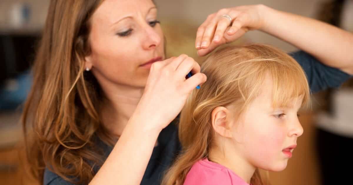 Bit Nasıl Oluşur Nasıl Tedavi Edilir? kapak resmi