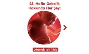 23-hafta-gebelik-hakkinda-hersey