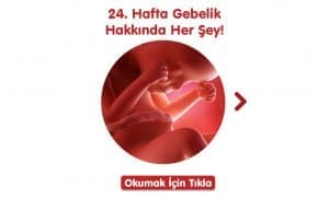 24-hafta-gebelik-hakkinda-hersey