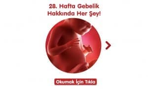 28-hafta-gebelik-hakkinda-hersey