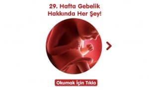 29-hafta-gebelik-hakkinda-hersey