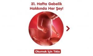31-hafta-gebelik-hakkinda-hersey