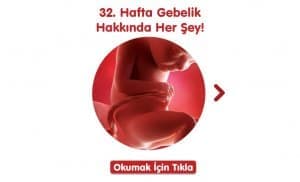 32-hafta-gebelik-hakkinda-hersey