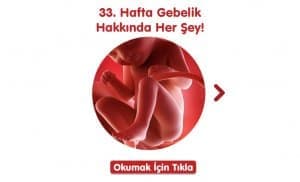 33-hafta-gebelik-hakkinda-hersey