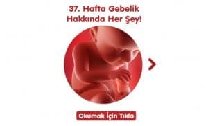 36. Hafta Gebelik