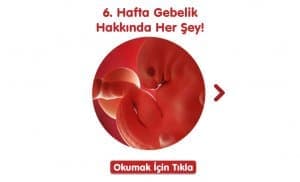 6-hafta-gebelik-hakkinda-hersey