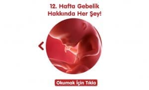 gebelikte-12-hafta