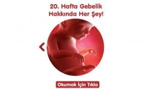 gebelikte-20-hafta