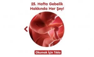 gebelikte-25-hafta