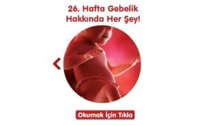 gebelikte-26-hafta