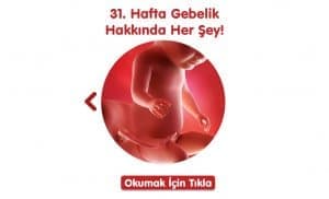 gebelikte-31-hafta