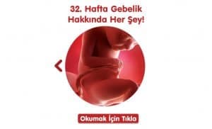 gebelikte-32-hafta