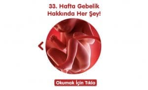 gebelikte-33-hafta