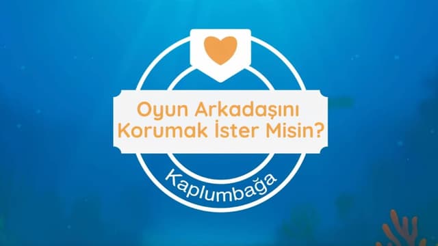 Oyun Arkadaşın Kaplumbağa'yı Korumak İster Misin? image
