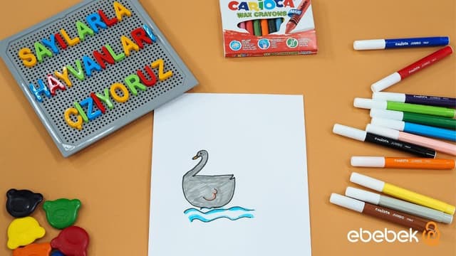 Sayılarla Hayvanları Çiziyoruz - 2'den Kuğu Yaptık image