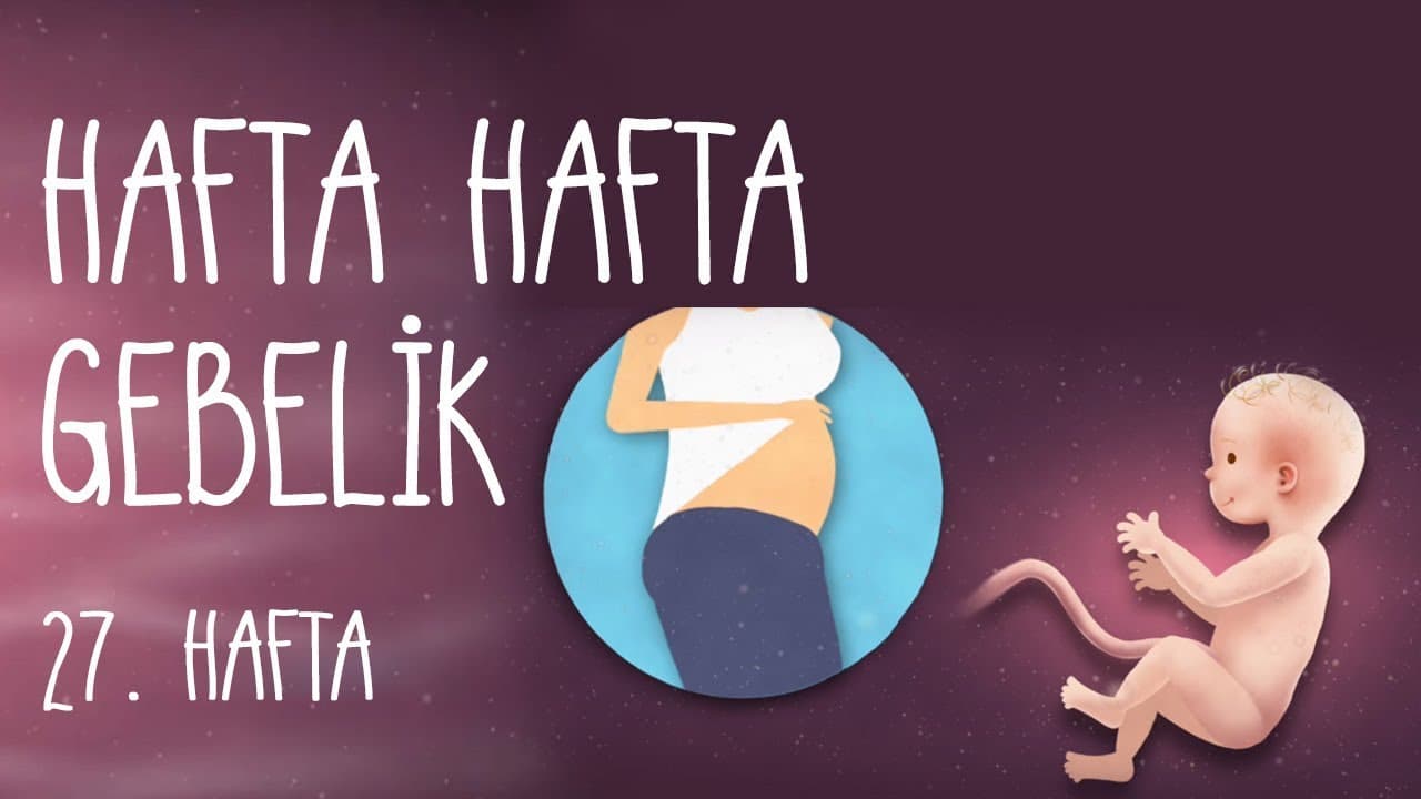 Hafta Hafta Gebelik 27. hafta