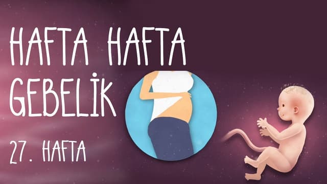 Hafta Hafta Gebelik 27. hafta image