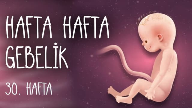 Hafta Hafta Gebelik 30. hafta image